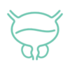 Chronic Prostatitis