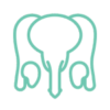 Sexual Dysfunction