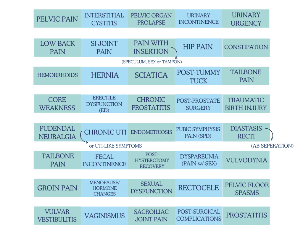Diagnostic chart of pelvic floor dysfunction, listing various conditions and symptoms associated with pelvic health issues.