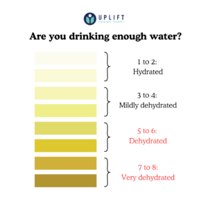 Hydration chart created by Uplift, illustrating daily water intake recommendations based on individual needs and activity levels.