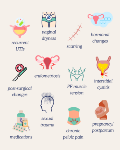 A visual infographic listing common causes of painful sex in both men and women, including endometriosis, hormonal changes, muscle tension, trauma, and more, with corresponding small icons.