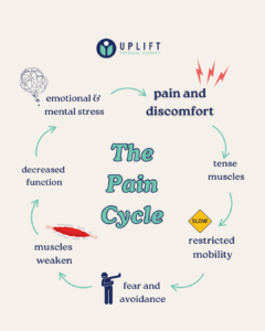 A graphic illustrating the pain cycle, showing how pain and discomfort lead to muscle tension, restricted mobility, weaker muscles, and ongoing pain, creating a continuous loop.